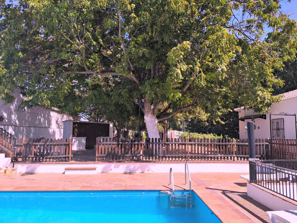 Complejo Apartamentos Rurales Molino De Abajo Ribera Baja  Екстер'єр фото