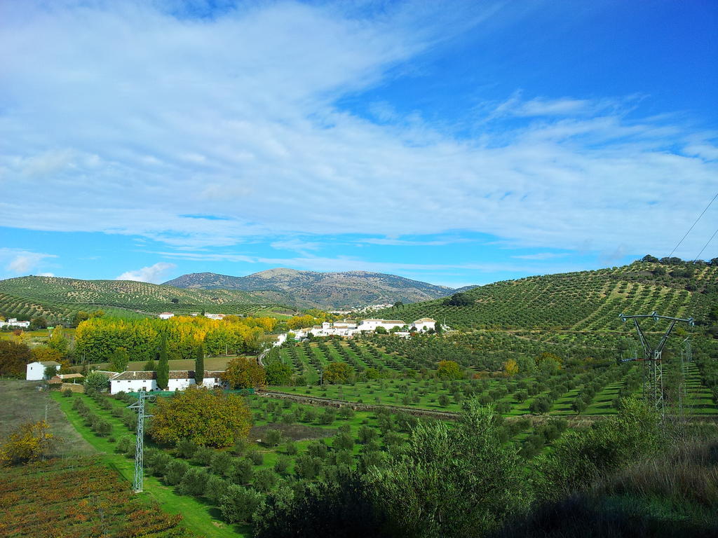 Complejo Apartamentos Rurales Molino De Abajo Ribera Baja  Екстер'єр фото