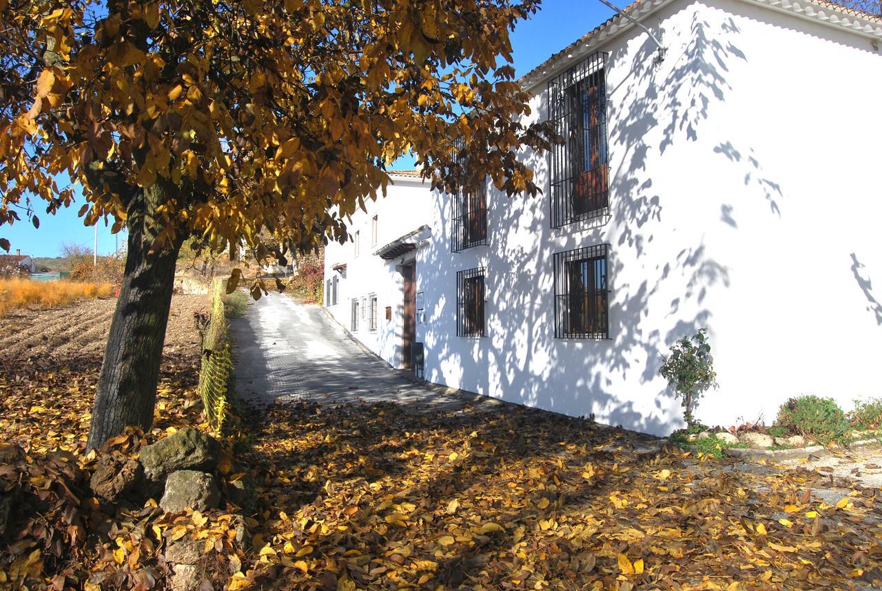 Complejo Apartamentos Rurales Molino De Abajo Ribera Baja  Екстер'єр фото