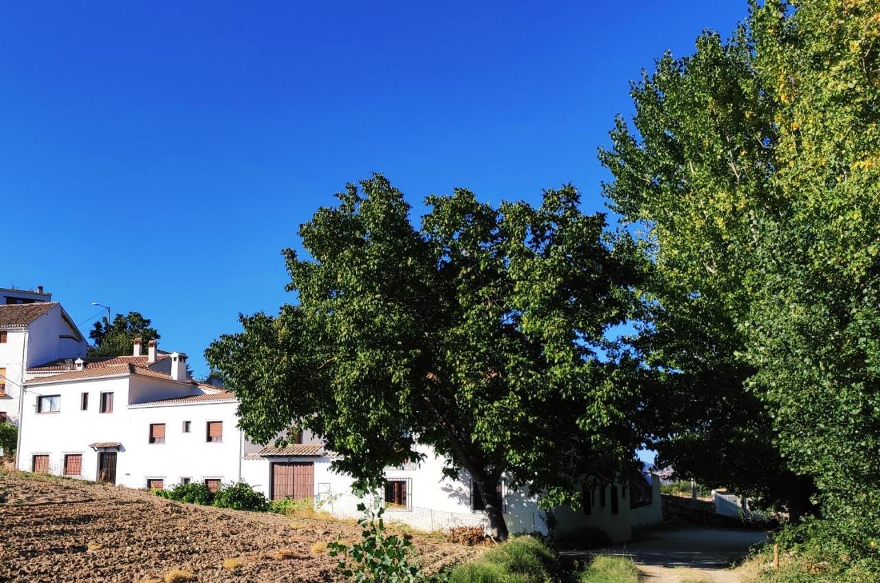 Complejo Apartamentos Rurales Molino De Abajo Ribera Baja  Екстер'єр фото